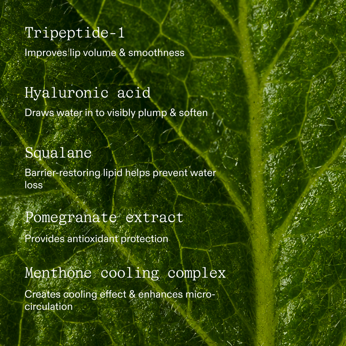 Key ingredients in white type over a green leaf texture: Tripeptide-1 improves lip volume and smoothness. Hyaluronic acid draws water in to visibly plump and soften. Squalane, a barrier-restoring lipid, helps prevent water loss. Pomegranate extract provides antioxidant protection. Menthone cooling complex creates a cooling effect and enhances micro-circulation.